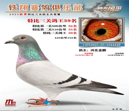 鐵翔特比三關(guān)鴿王39名
