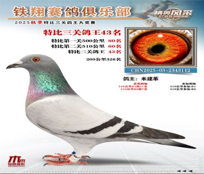 鐵翔特比三關(guān)鴿王43名
