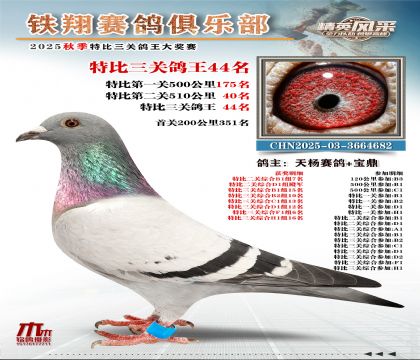 鐵翔特比三關(guān)鴿王44名