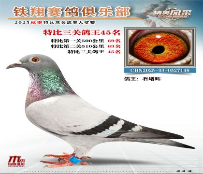 鐵翔特比三關(guān)鴿王45名