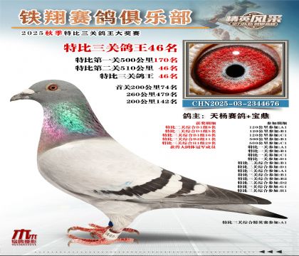 鐵翔特比三關(guān)鴿王46名