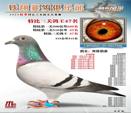 鐵翔特比三關(guān)鴿王47名