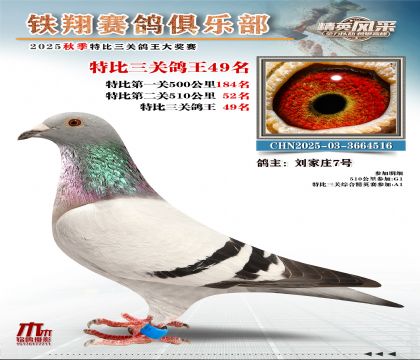 鐵翔特比三關(guān)鴿王49名