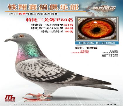鐵翔特比三關(guān)鴿王50名