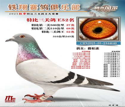 鐵翔特比三關(guān)鴿王52名