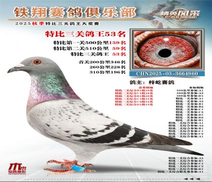鐵翔特比三關(guān)鴿王53名