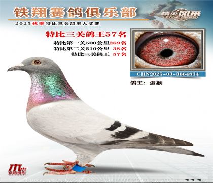 鐵翔特比三關(guān)鴿王57名
