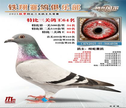 鐵翔特比三關(guān)鴿王64名