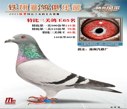 鐵翔特比三關(guān)鴿王65名