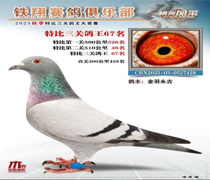 鐵翔特比三關(guān)鴿王67名
