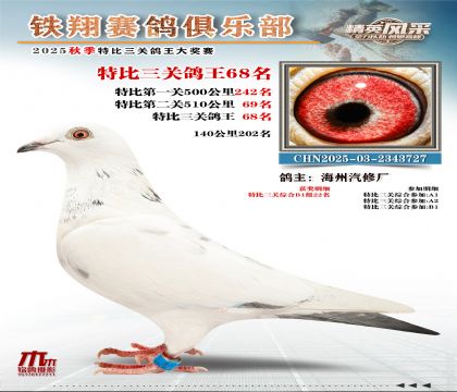 鐵翔特比三關(guān)鴿王68名