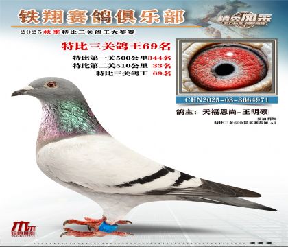鐵翔特比三關(guān)鴿王69名