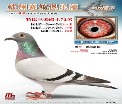 鐵翔特比三關(guān)鴿王72名