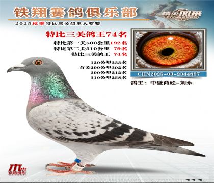 鐵翔特比三關(guān)鴿王74名