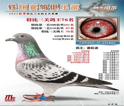 鐵翔特比三關(guān)鴿王76名