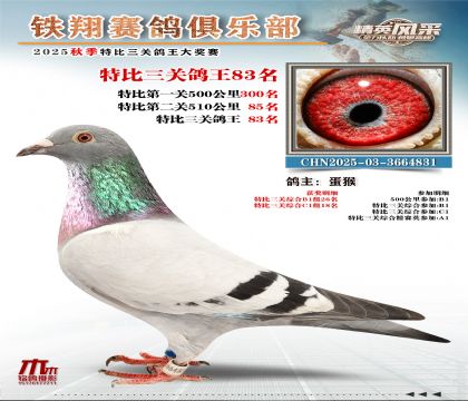 鐵翔特比三關(guān)鴿王83名