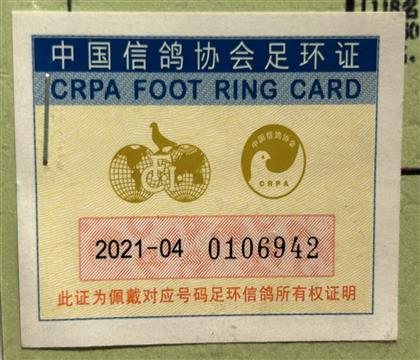 足環(huán)卡
