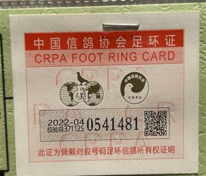 足環(huán)卡