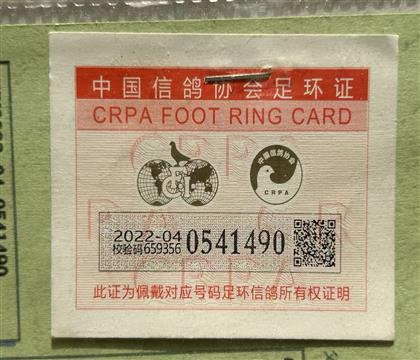 足環(huán)卡