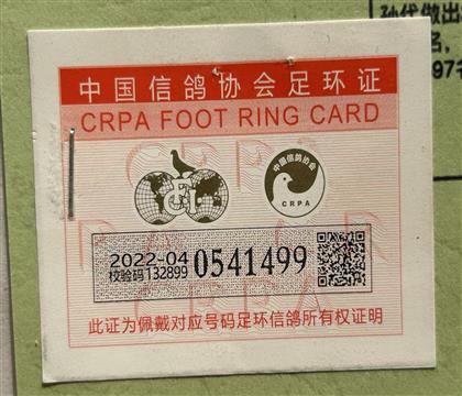 足環(huán)卡
