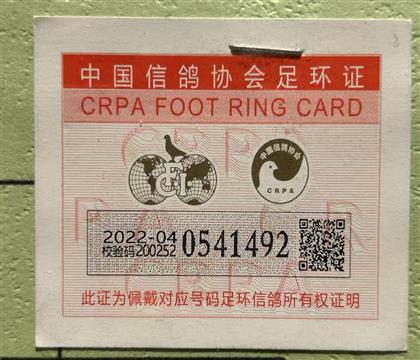 足環(huán)卡