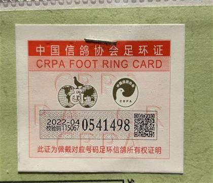足環(huán)卡
