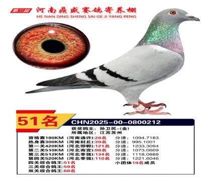 2025河南鼎盛四關(guān)賽四關(guān)綜合鴿王51名