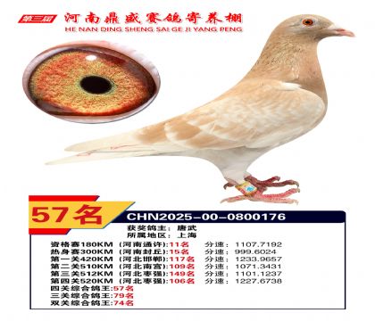 2025河南鼎盛四關(guān)賽四關(guān)綜合鴿王57名