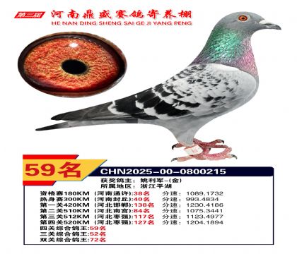 2025河南鼎盛四關(guān)賽四關(guān)綜合鴿王59名