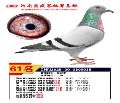2025河南鼎盛四關(guān)賽四關(guān)綜合鴿王61名