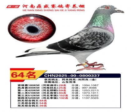 2025河南鼎盛四關(guān)賽四關(guān)綜合鴿王64名