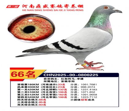 2025河南鼎盛四關(guān)賽四關(guān)綜合鴿王66名
