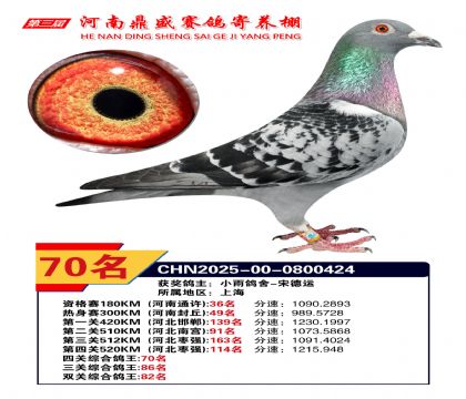 2025河南鼎盛四關(guān)賽四關(guān)綜合鴿王70名