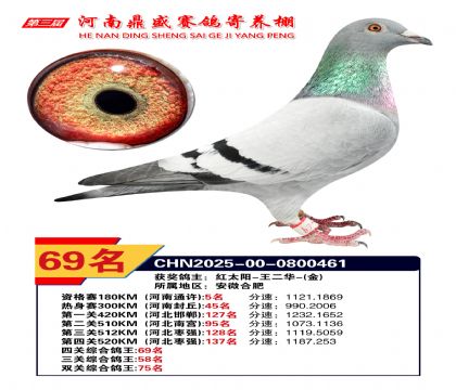 2025河南鼎盛四關(guān)賽四關(guān)綜合鴿王69名