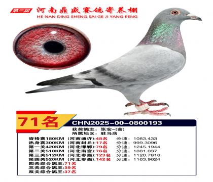 2025年河南鼎盛四關(guān)賽四關(guān)綜合71名