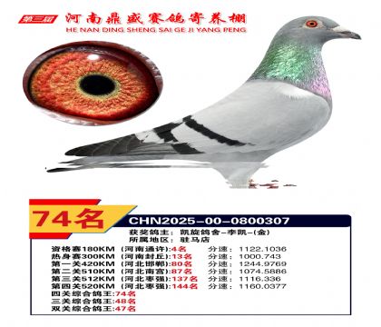 2025年河南鼎盛四關(guān)賽四關(guān)綜合74名