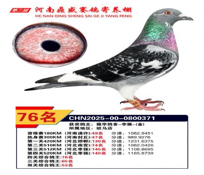 2025年河南鼎盛四關(guān)賽四關(guān)綜合76名