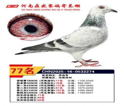 2025年河南鼎盛四關(guān)賽四關(guān)綜合77名