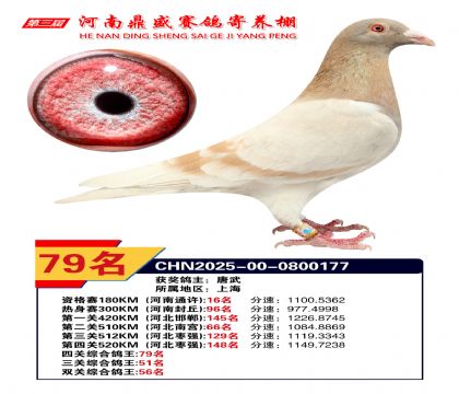 2025年河南鼎盛四關(guān)賽四關(guān)綜合79名