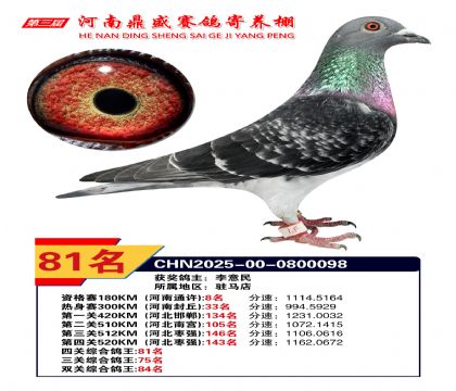 2025年河南鼎盛四關(guān)賽四關(guān)綜合81名