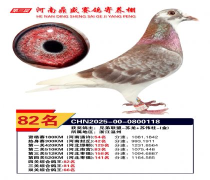 2025年河南鼎盛四關(guān)賽四關(guān)綜合82名