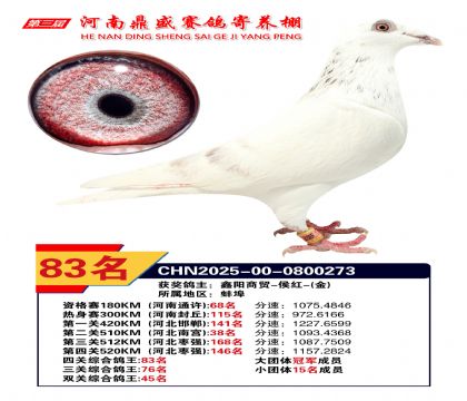 2025年河南鼎盛四關(guān)賽四關(guān)綜合83名