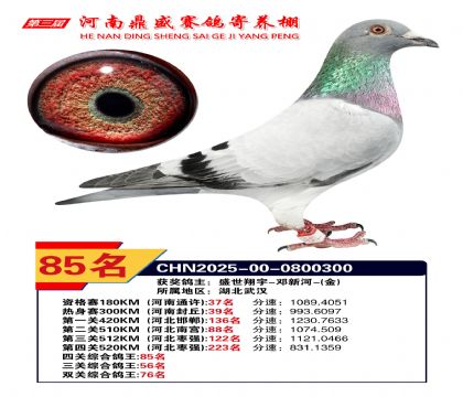 2025年河南鼎盛四關(guān)賽四關(guān)綜合85名