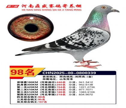 2025年河南鼎盛四關(guān)賽四關(guān)綜合98名