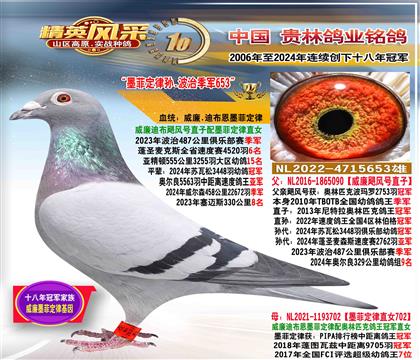 父:墨菲定律孫.487公里季軍