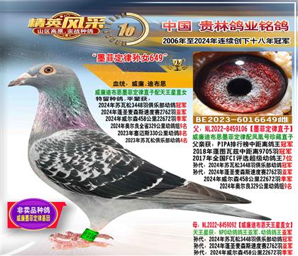 母:墨菲定律孫女