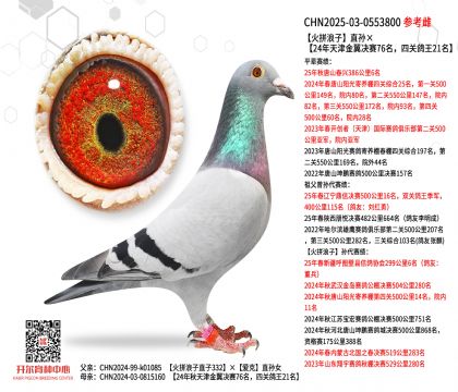 ƴֱO24Qِ76P(gun)21