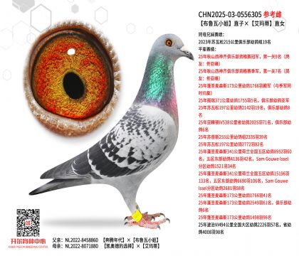 Сֱӡ?sh)ֱ? width=