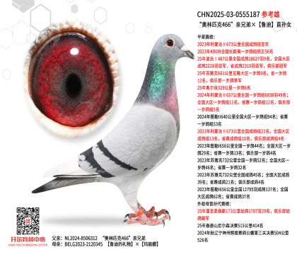 Wƥ466Hֵܡ?sh)ֱOŮ