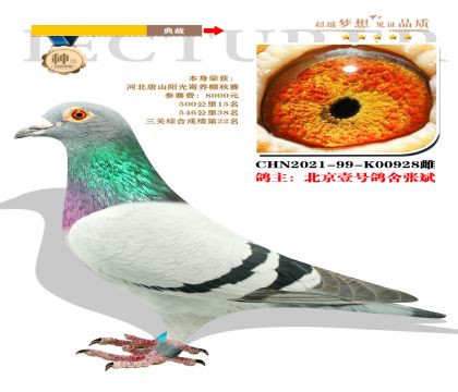 北京壹號鴿舍張斌 選送唐山陽光寄養(yǎng)棚